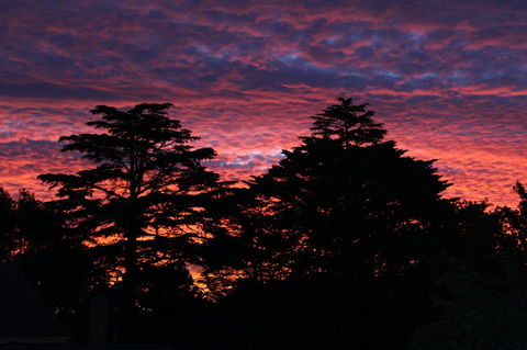 Pirralilla Estate Adelaide Hills - Accommodation Cooktown 26
