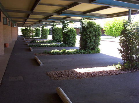 The Wine Vine Hotel - Accommodation Cooktown 17