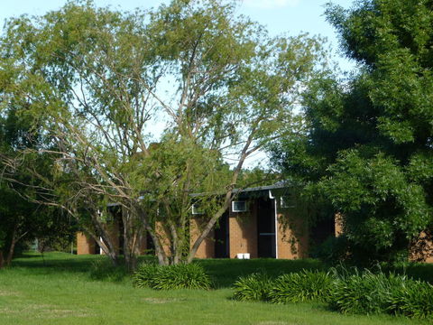 The Wine Vine Hotel - Accommodation Cooktown 18