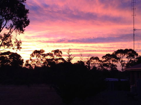 Clare Valley Cabins - Accommodation Cooktown 8