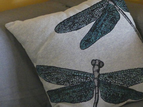 KI Dragonfly Guesthouse - Accommodation Cooktown 43