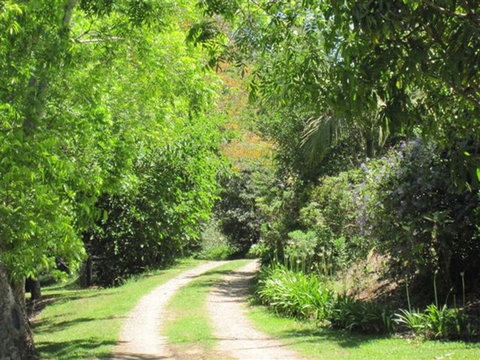 SummerHills Retreat Byron Bay - Accommodation Cooktown 33