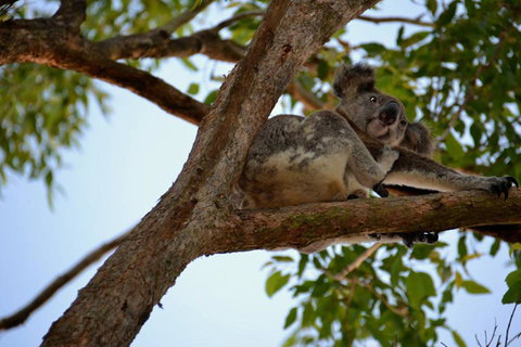 SummerHills Retreat Byron Bay - Accommodation Cooktown 36