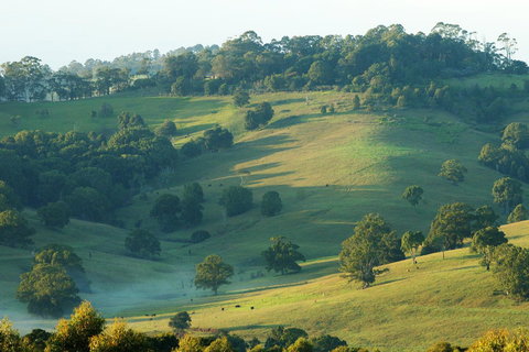 SummerHills Retreat Byron Bay - Accommodation Cooktown 20