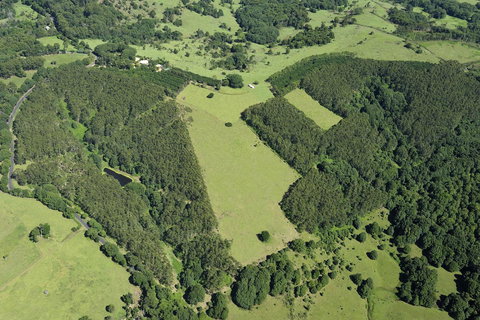 SummerHills Retreat Byron Bay - Accommodation Cooktown 19