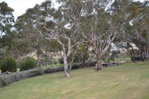 Cabernet Cottage - Accommodation Cooktown 8
