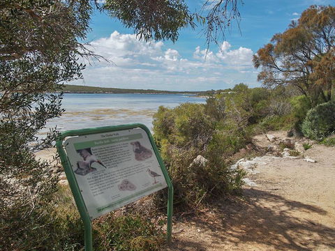 Willygunyah - Accommodation Cooktown 31