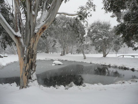 CHILL-OUT - Thredbo - Accommodation Cooktown 38
