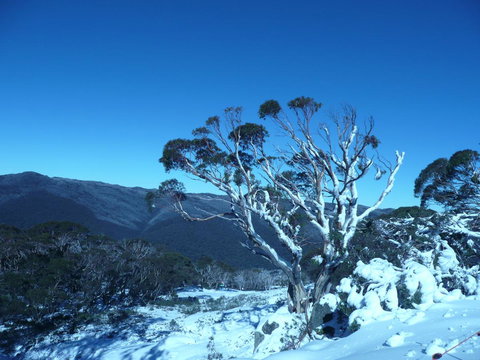 CHILL-OUT - Thredbo - Accommodation Cooktown 33