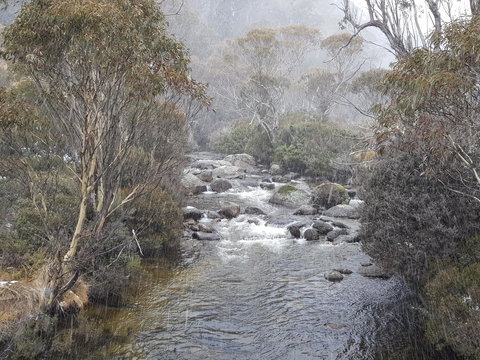 CHILL-OUT - Thredbo - Accommodation Cooktown 23