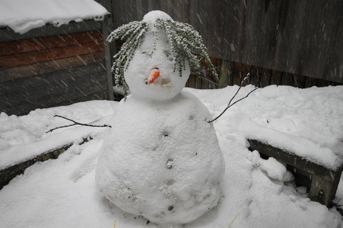 CHILL-OUT - Thredbo - Accommodation Cooktown 34