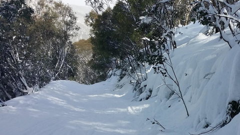 CHILL-OUT - Thredbo - Accommodation Cooktown 17