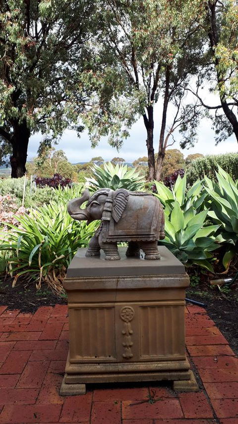 Linger Longer Vineyard - Accommodation Cooktown 18