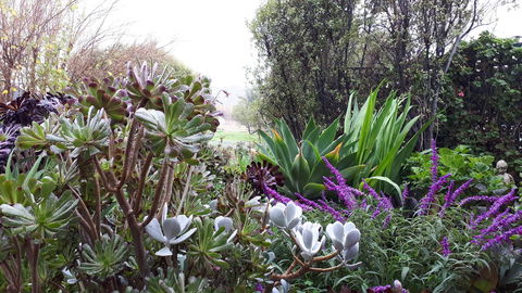 Linger Longer Vineyard - Accommodation Cooktown 15