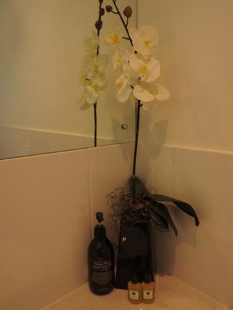 Sanctuary In The Valley - Accommodation Cooktown 21
