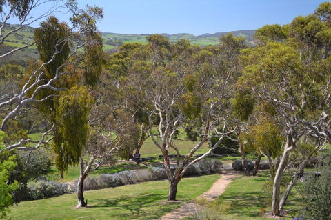 Shiraz Cottage - Accommodation Cooktown 9