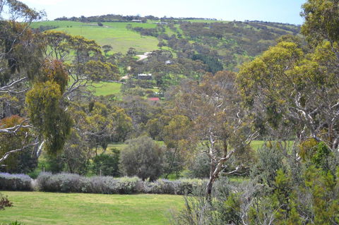 Shiraz Cottage - Accommodation Cooktown 8