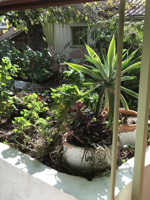 Cosy Nook - Accommodation Cooktown 19