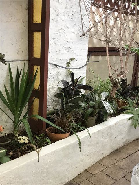 Cosy Nook - Accommodation Cooktown 16