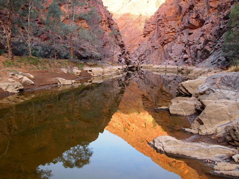Arkaroola Wilderness Sanctuary - Accommodation Cooktown 6