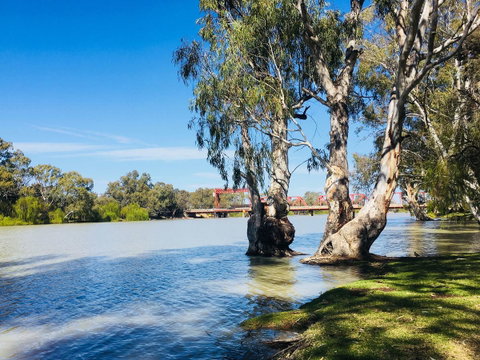 Echo Holiday Parks - Renmark - Accommodation Cooktown 5