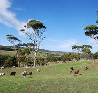 Lisieux Farm Bed and Breakfast - Accommodation Cooktown