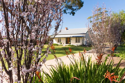 20 Hill Avenue Bed & Breakfast - Accommodation Cooktown 1