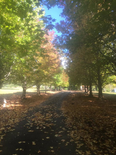 A Peaceful Cabin In The Country - Accommodation Cooktown 0