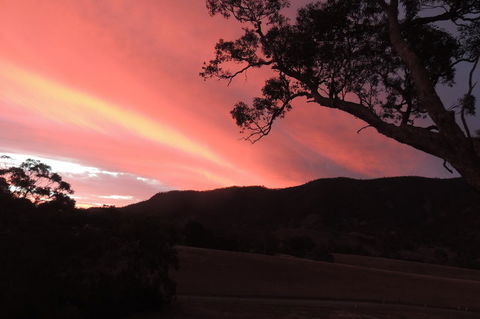 Wozza's B&B - Accommodation Cooktown 5