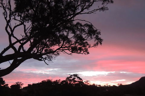 Wozza's B&B - Accommodation Cooktown 3