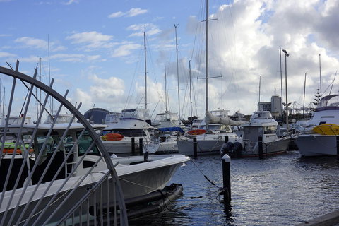 Oceanside 23 - Accommodation Cooktown 24