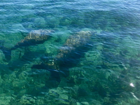 Escape 2 Exmouth - Accommodation Cooktown 28
