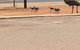 Escape 2 Exmouth - thumb 29