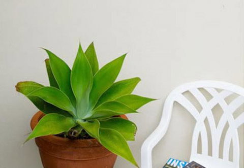Sea & Soul Beachside Apartments - Accommodation Cooktown 9