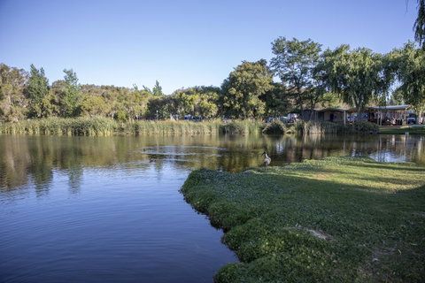 Karrinyup Waters Resort - Accommodation Cooktown 15