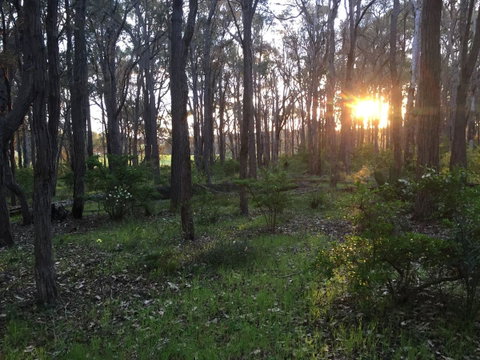 Simala Retreat - Accommodation Cooktown 4