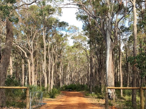 Simala Retreat - Accommodation Cooktown 6