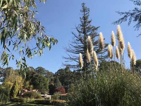 Forest Lodge Resort - Accommodation Cooktown 24