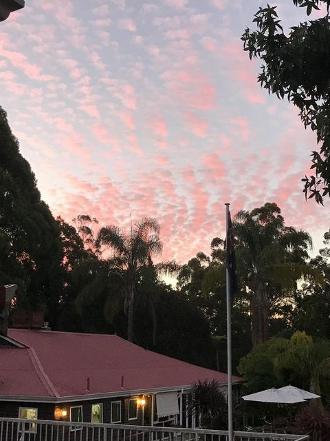 Forest Lodge Resort - Accommodation Cooktown 44