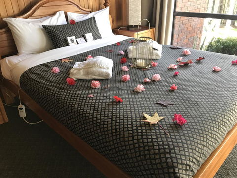 Forest Lodge Resort - Accommodation Cooktown 3