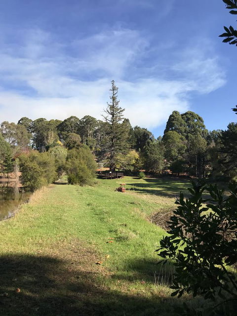 Forest Lodge Resort - Accommodation Cooktown 31