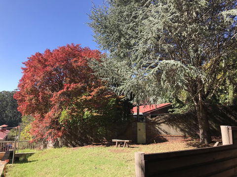 Forest Lodge Resort - Accommodation Cooktown 42