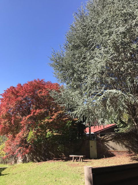 Forest Lodge Resort - Accommodation Cooktown 35