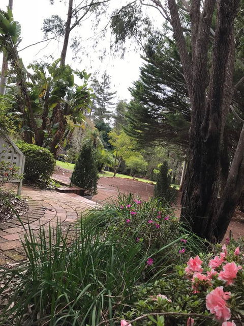 Forest Lodge Resort - Accommodation Cooktown 10