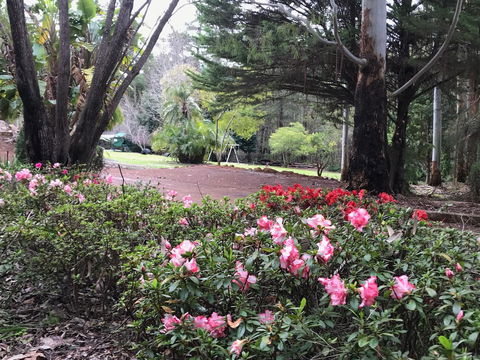 Forest Lodge Resort - Accommodation Cooktown 12