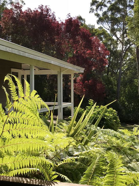 Forest Lodge Resort - Accommodation Cooktown 14