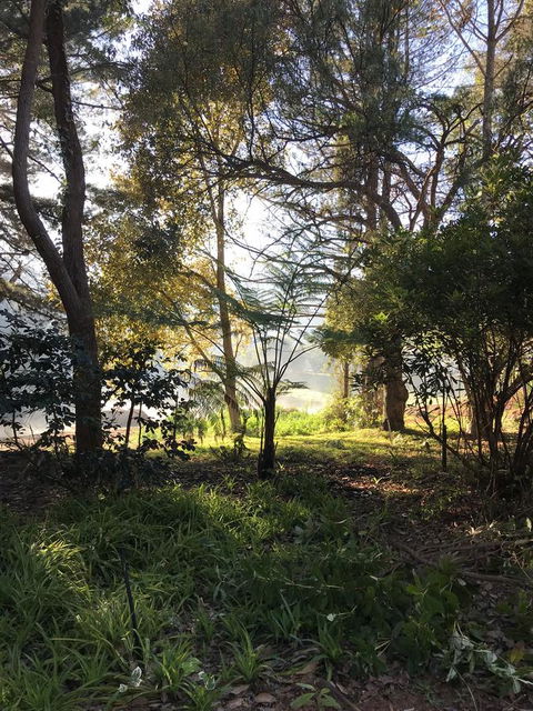 Forest Lodge Resort - Accommodation Cooktown 33