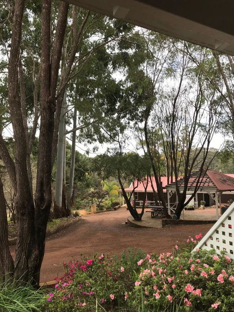 Forest Lodge Resort - Accommodation Cooktown 9