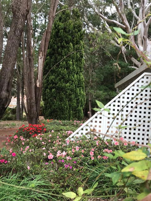 Forest Lodge Resort - Accommodation Cooktown 7