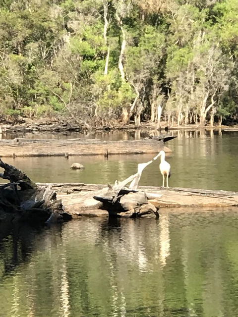 Forest Lodge Resort - Accommodation Cooktown 25
